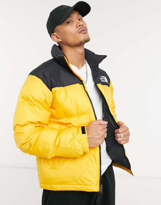 The north outlet face yellow jacket