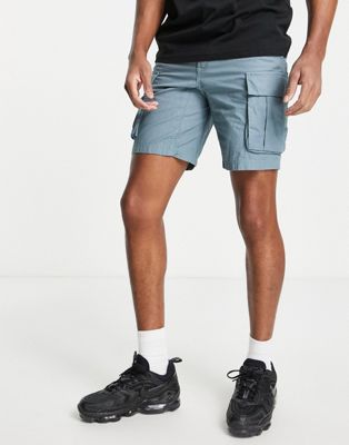The North Face Anticline cargo shorts in blue