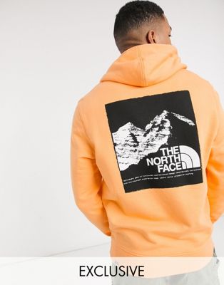 The North Face back graphic hoodie in 