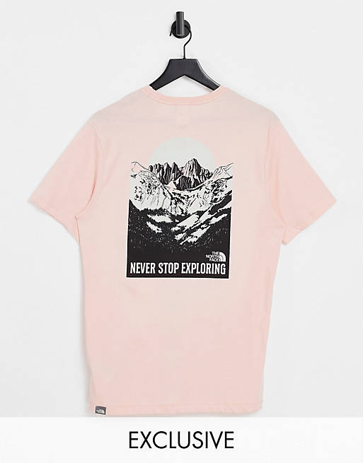 T-Shirts & Vests The North Face Back Natural Wonders t-shirt in pink Exclusive at  