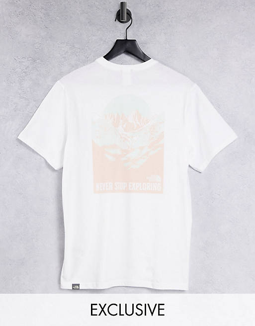The North Face Back Natural Wonders t-shirt in white Exclusive at ASOS