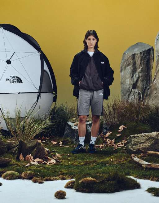 The North Face – Baggy Beta – Shorts in Grau, 3 von 8