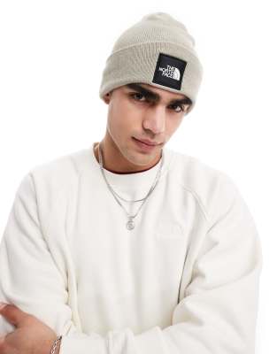 The North Face Big Box Cuffed Beanie In Clay Gray
