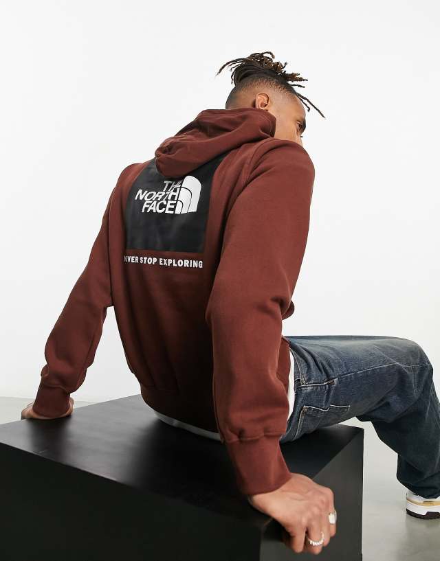 The North Face Box NSE back print hoodie in brown