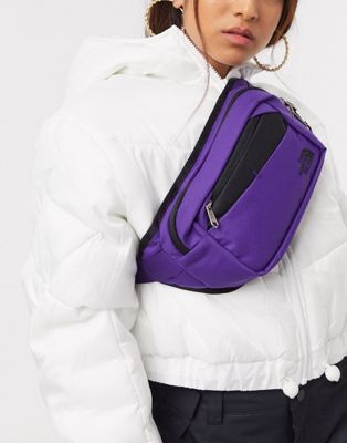 bozer hip pack north face
