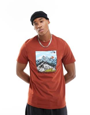 The North Face The North Face chest graphic t-shirt in brown