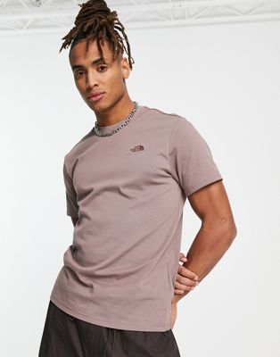 The North Face City Standard t-shirt in taupe
