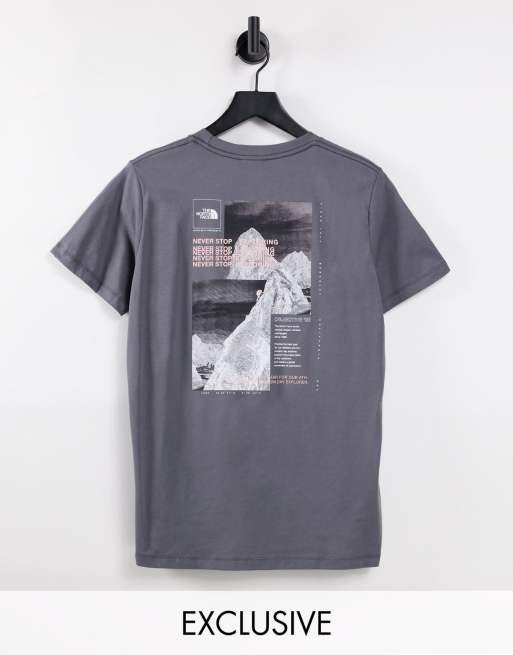 T shirt the north best sale face gris