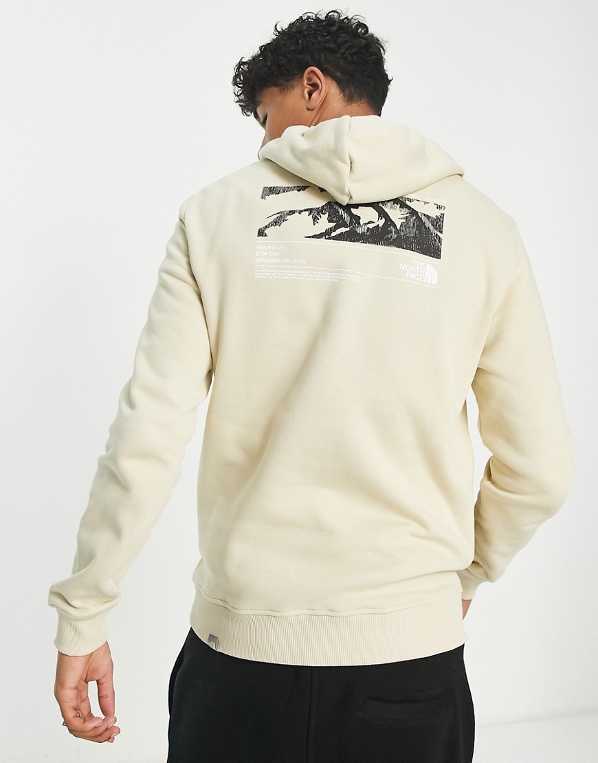 The North Face Coordiantes back print hoodie in stone-Neutral