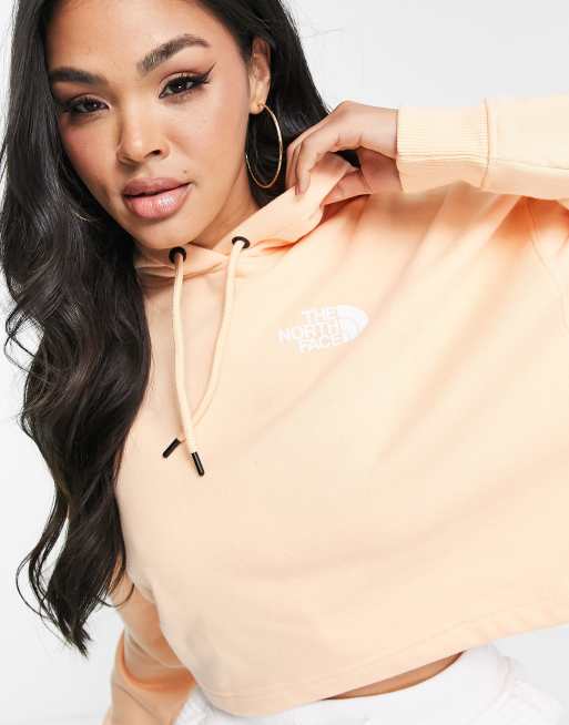 North face 2025 hoodie back print