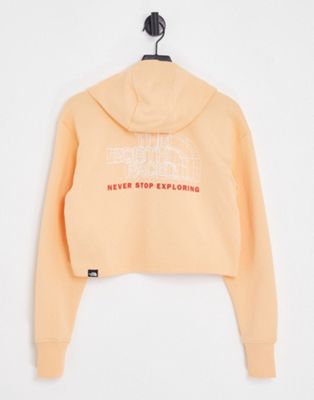 The North Face Coordinates hoodie in orange