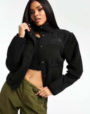 Thumbnail - The North Face - Cragmont - Jacke aus schwerem Fleece in Schwarz