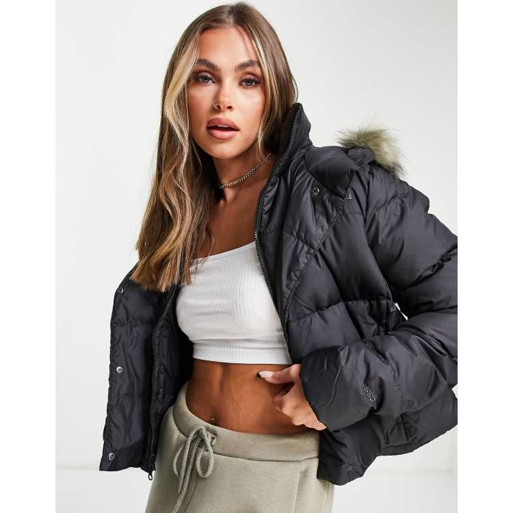 North face dealio jacket on sale