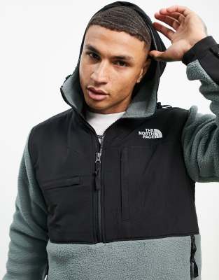 the north face denali green