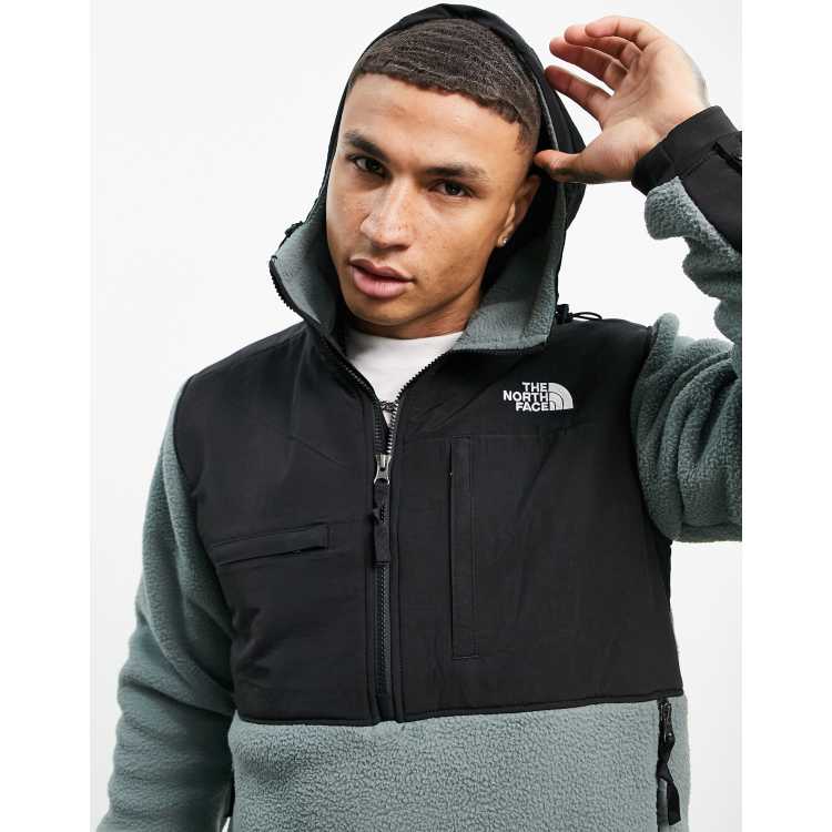 The north face 2025 denali 2 fleece