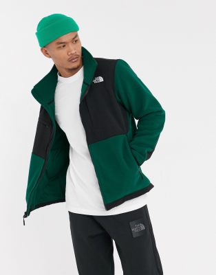 the north face coat green