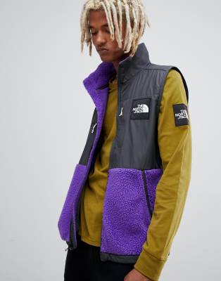 polaire the north face violet