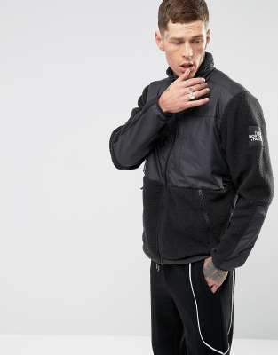 the north face denali 1