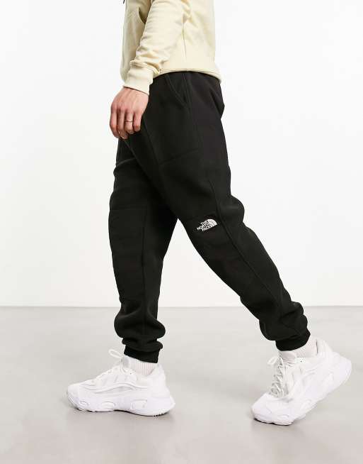 North face store denali fleece pants