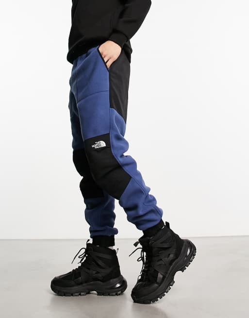 The north 2025 face denali joggers