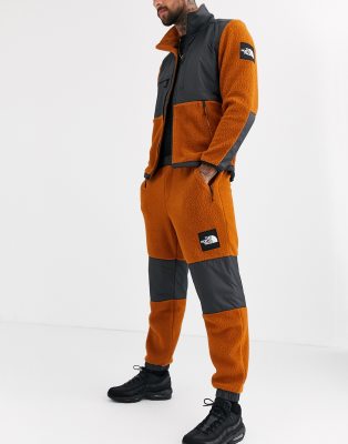 the north face co