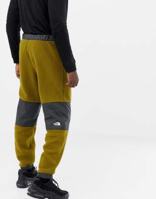 north face denali fleece pant