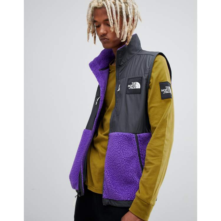 North face best sale purple gilet