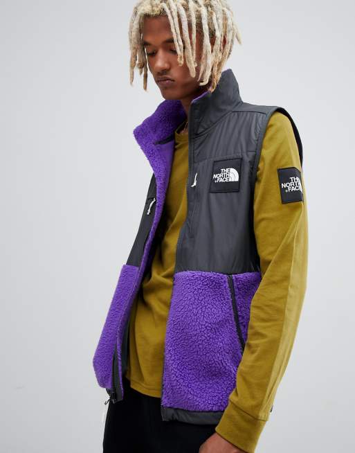 North face 2024 vest purple