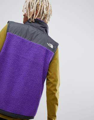 north face purple gilet