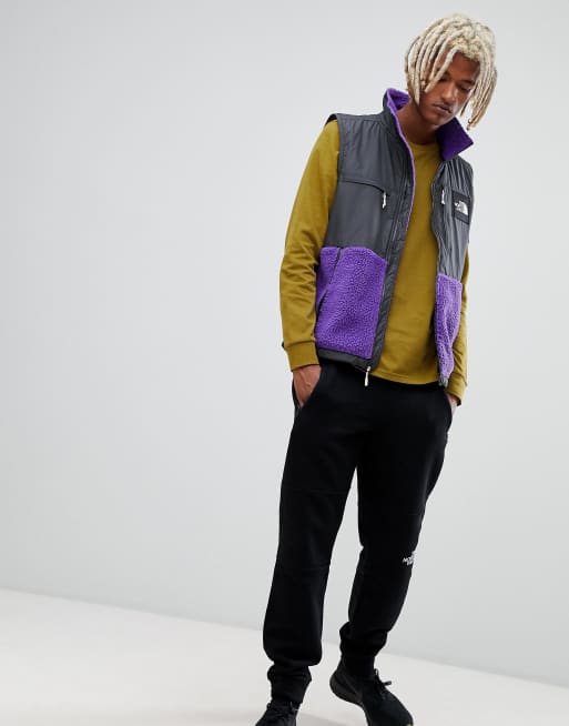 Denali hot sale fleece vest