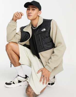 The North Face The Nortih Face Denali 2 Fleece Jacket In Beige-neutral In Brown