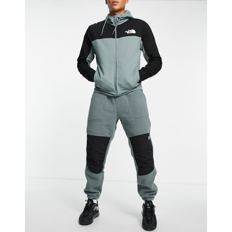 Activewear Pantaloni e leggings The North Face - Denali - Joggers verdi