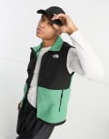 [The North Face] The North Face Denali Polartec fleece vest in green and black L Green