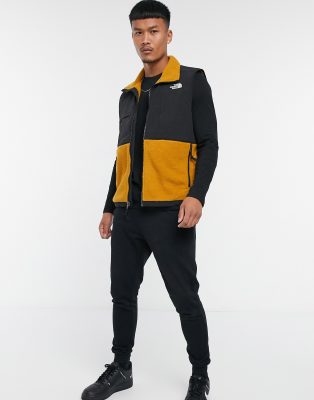 north face denali brown