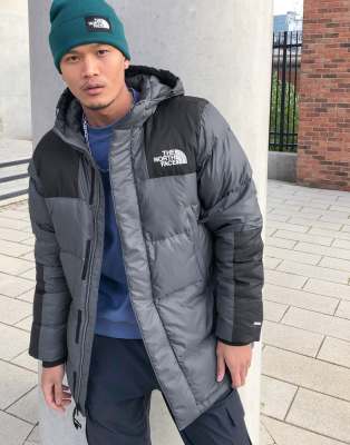 grey north face parka