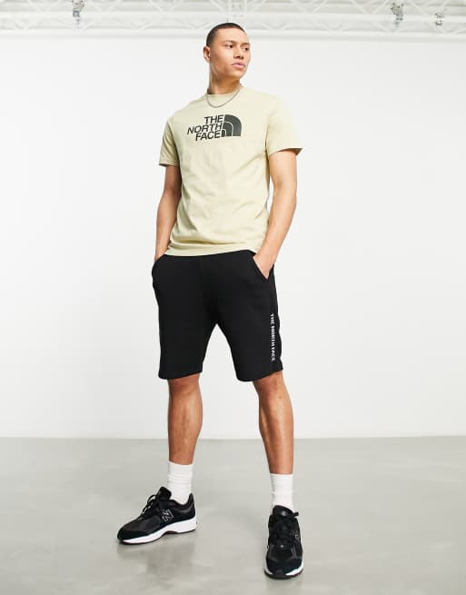 The north face train n sales logo shorts