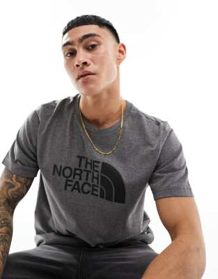 The North Face The North Face Easy graphic logo t-shirt in grey