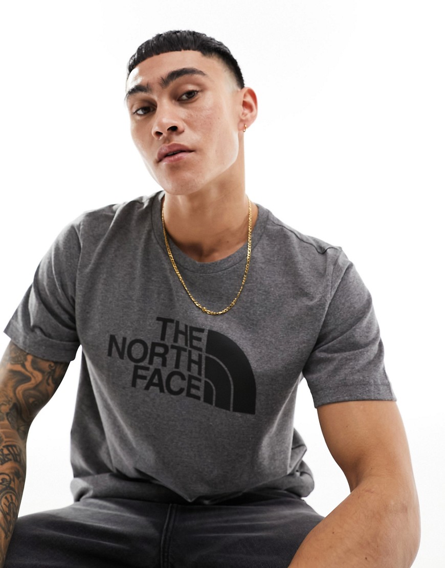 The North Face Easy graphic logo t-shirt in grey
