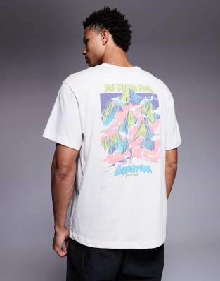 The North Face Essential Expedition Back Print Tee In White