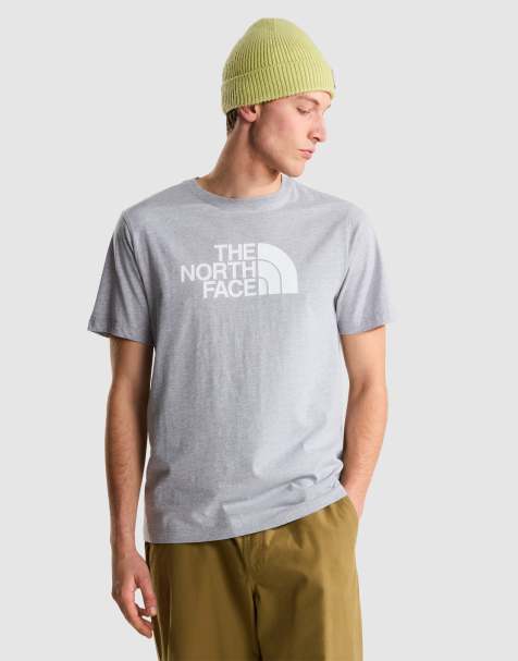 The North Face - Evolution Half Dome - T-shirt classique à manches courtes - Gris pâle chiné tnf - view 1