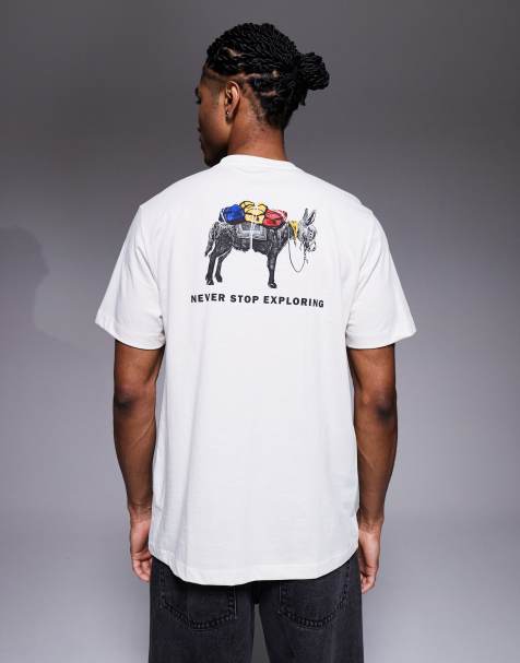 The North Face Evolution Pack back print Tee in white - view 1