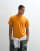 Thumbnail 1 van 5