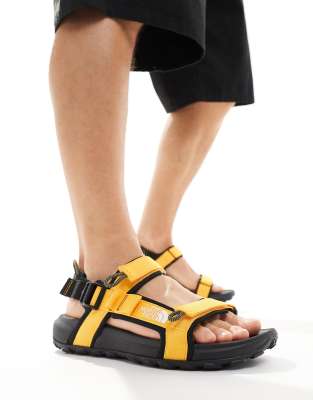 The North Face Explore Camp sandal in black and gold