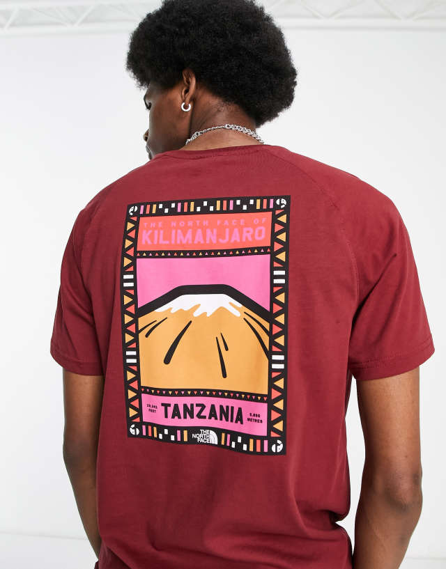 The North Face Faces back print mountain t-shirt in burgundy