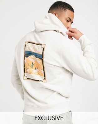 the north face hooded sweatshirt