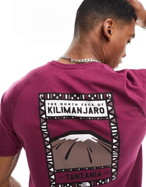 north face kilimanjaro shirt