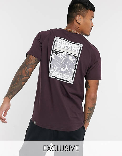 T-Shirts & Vests The North Face Faces t-shirt in burgundy Exclusive at  