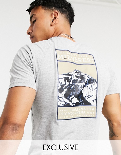 The North Face Faces t-shirt in grey Exclusive at ASOS
