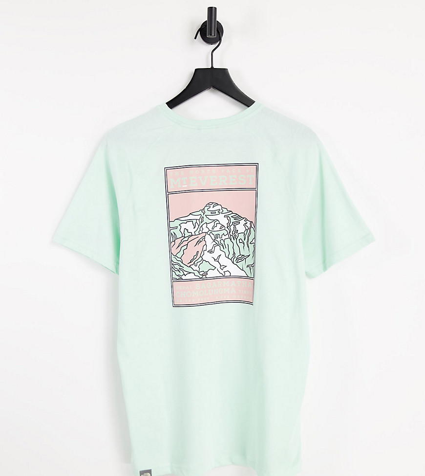 The North Face Faces t-shirt in mint green Exclusive at ASOS