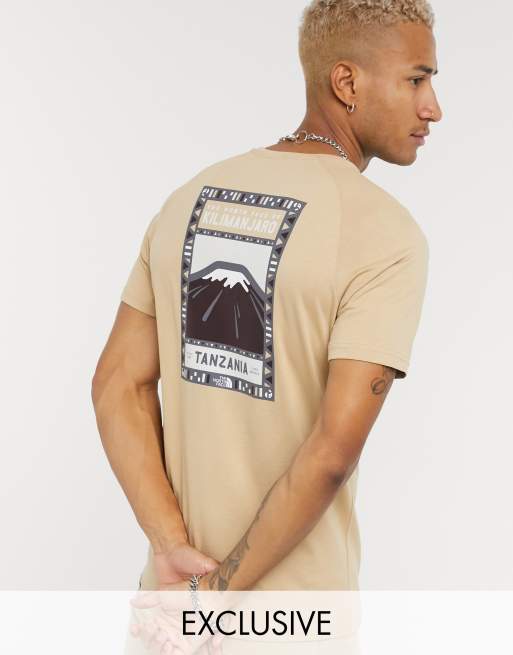 The North Face Faces t-shirt in tan Exclusive at ASOS | ASOS